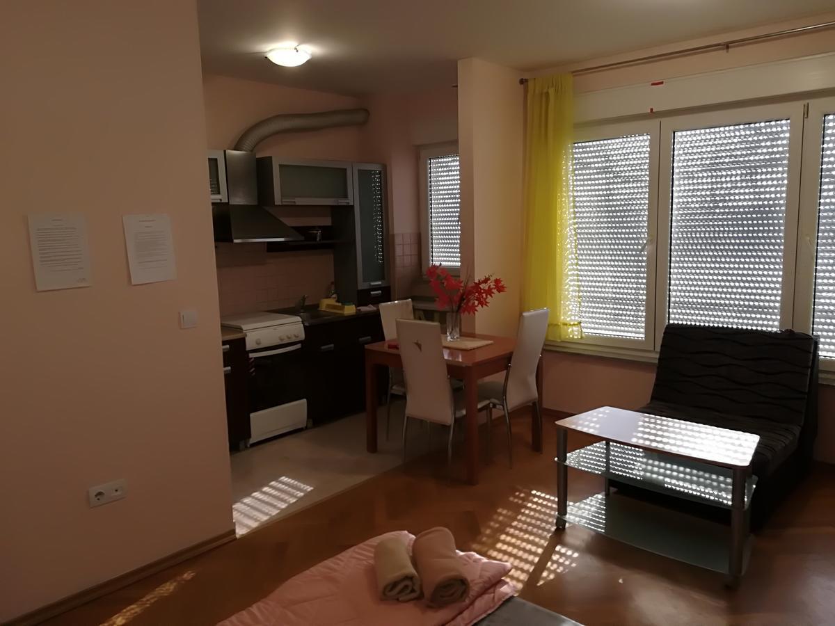 Guesthouse Sava 슬라본스키브로드 외부 사진