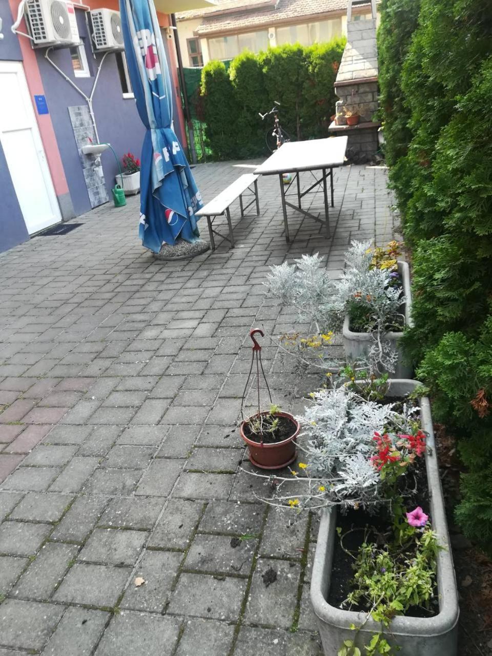 Guesthouse Sava 슬라본스키브로드 외부 사진