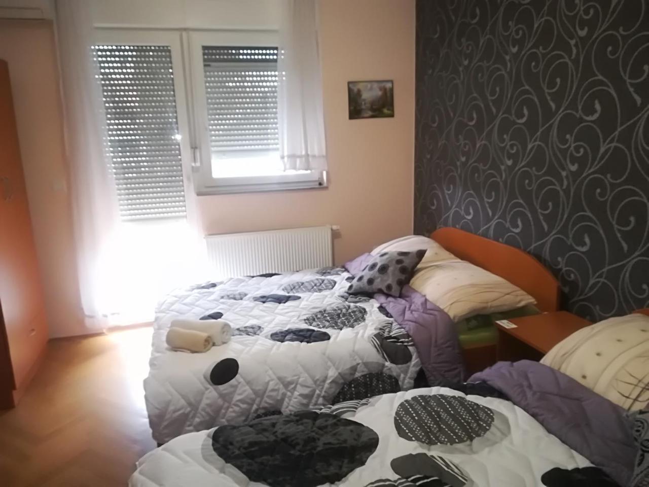 Guesthouse Sava 슬라본스키브로드 외부 사진
