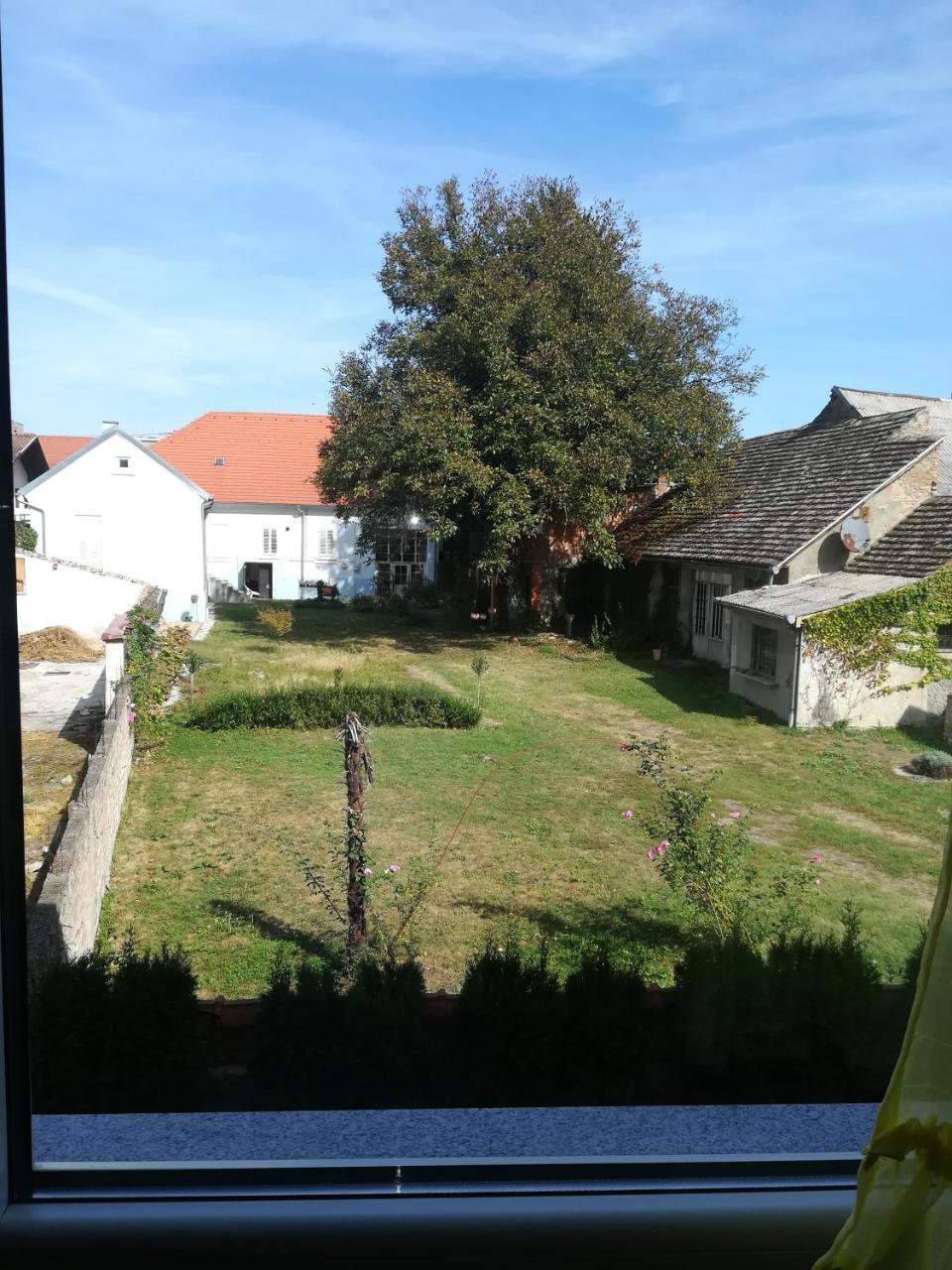 Guesthouse Sava 슬라본스키브로드 외부 사진